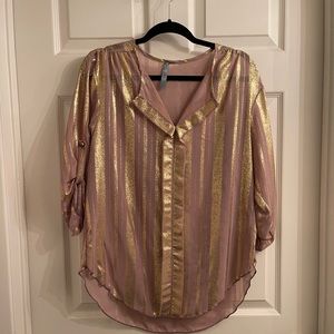 Sheer beige and gold top